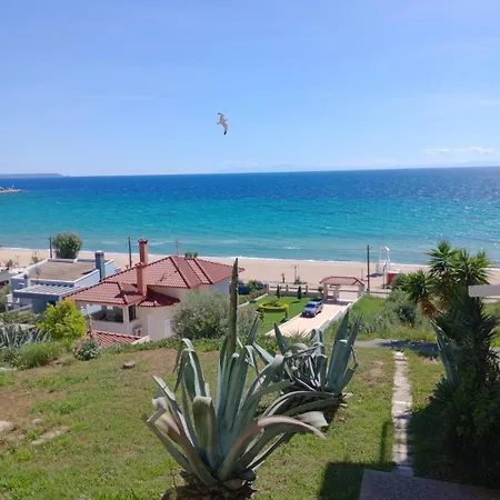 Sea Paradise *