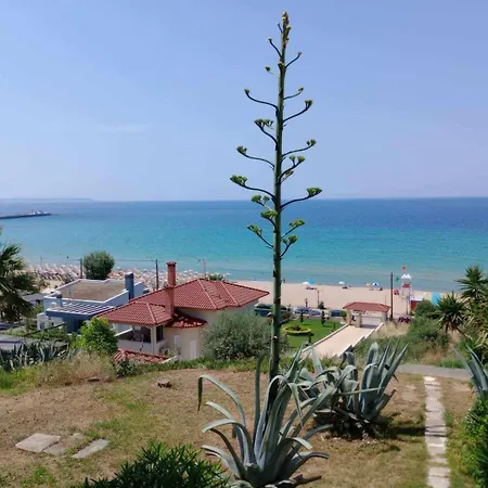 Sea Paradise Apartment *